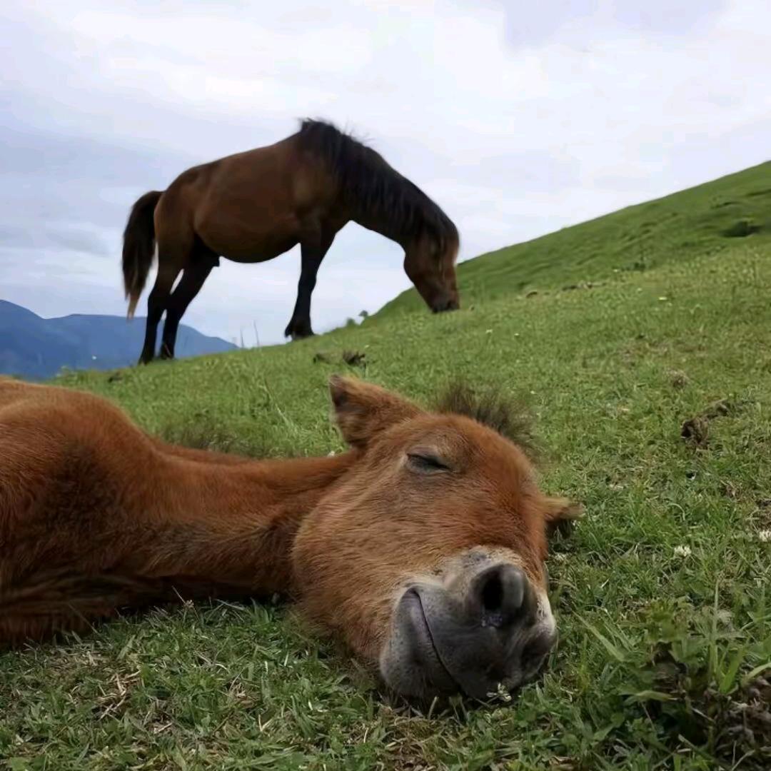 止水