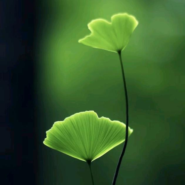 ╭(╯ε╰)╮㣻^O^罖