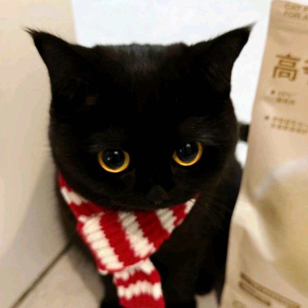 kk（三角洲）
