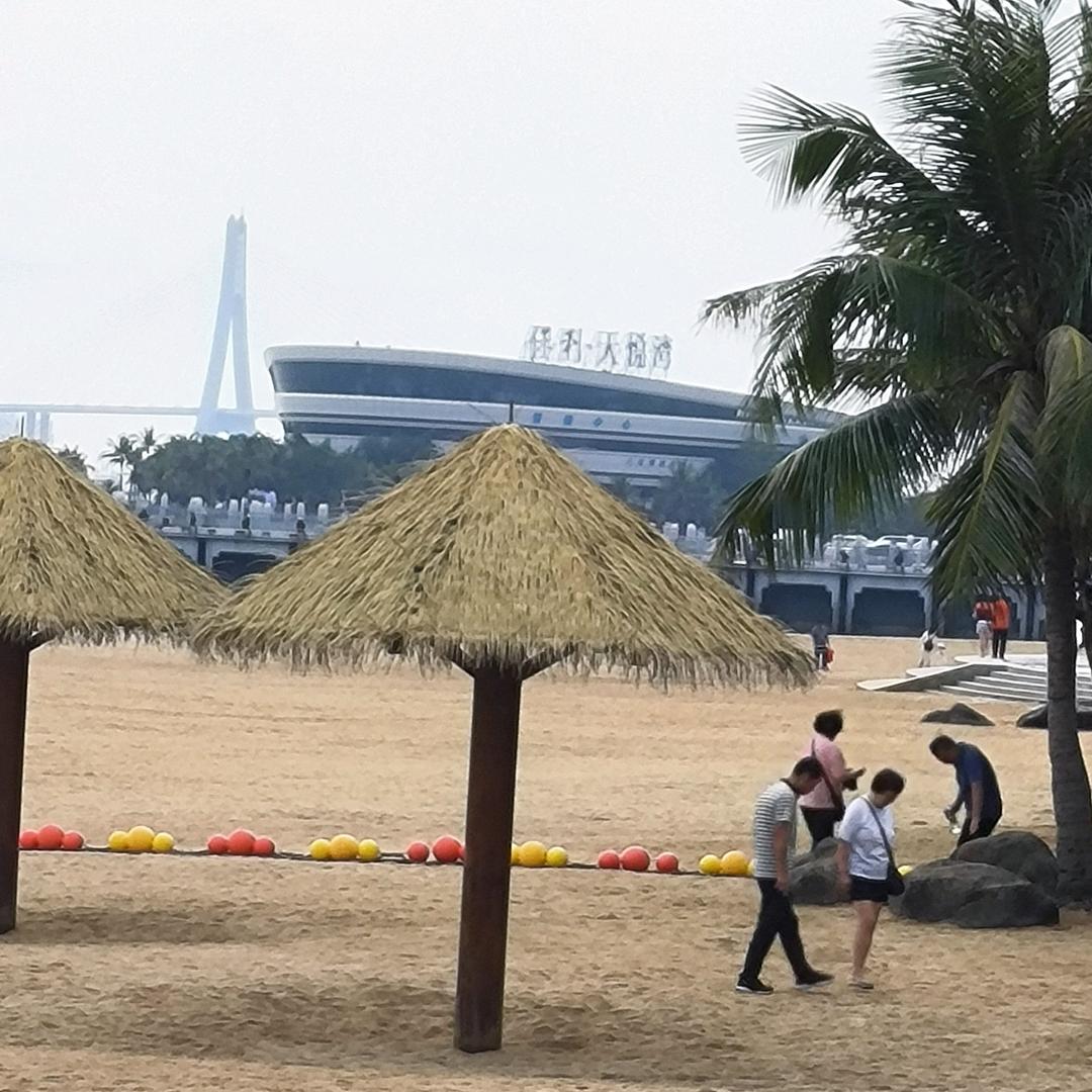 太阳花