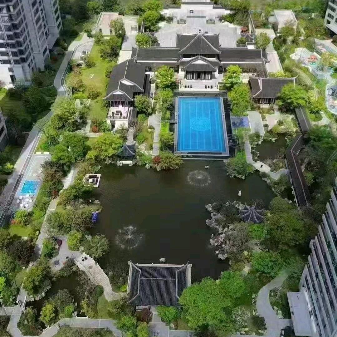 崛起哥