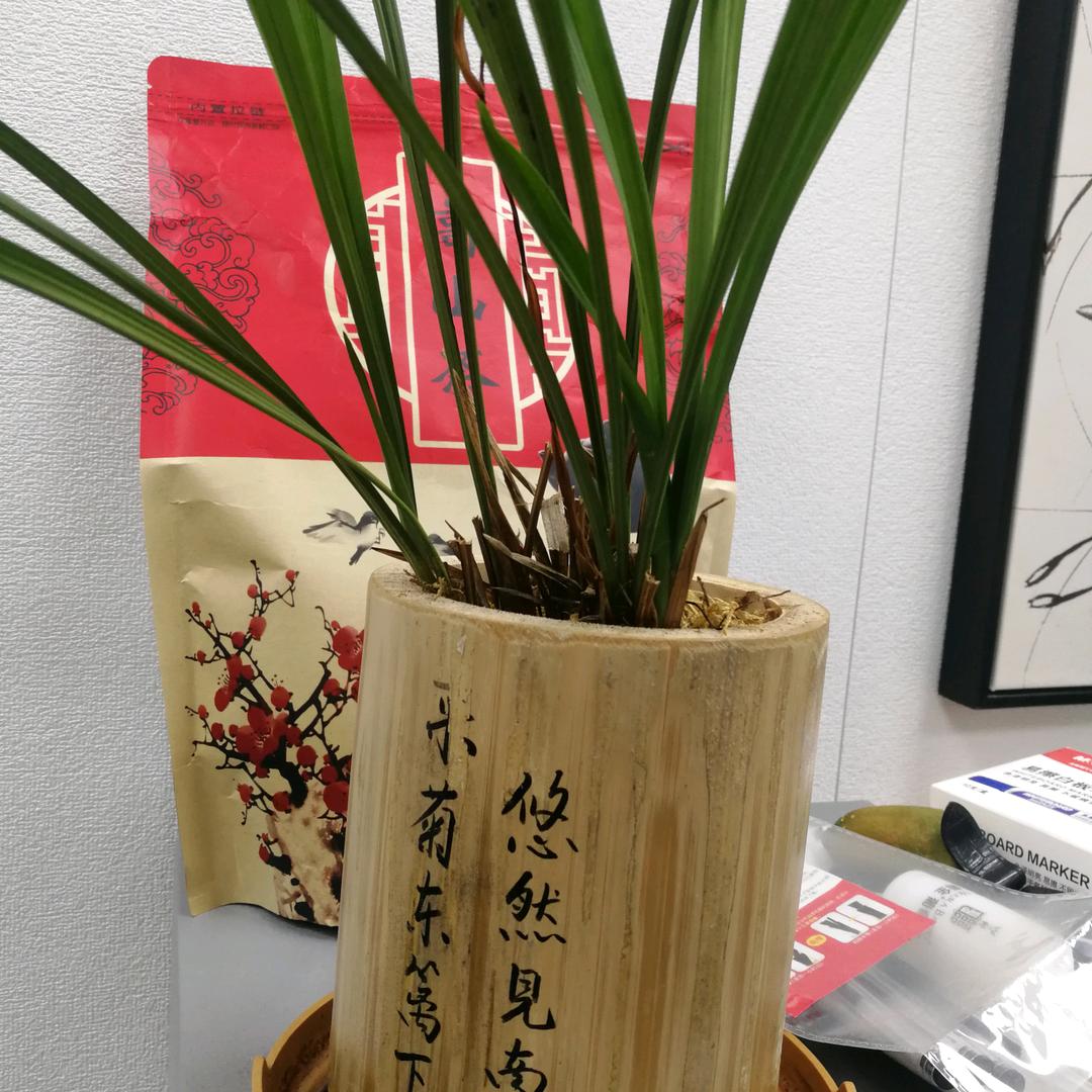 杨氏贸易