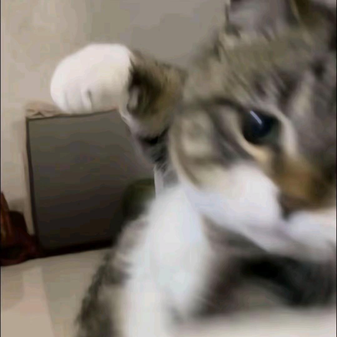 雨 季