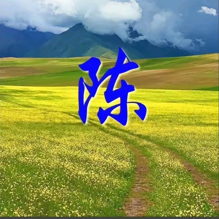 渡缘随缘（陈平）