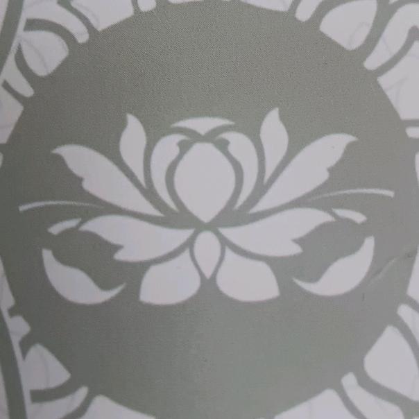 分享狂
