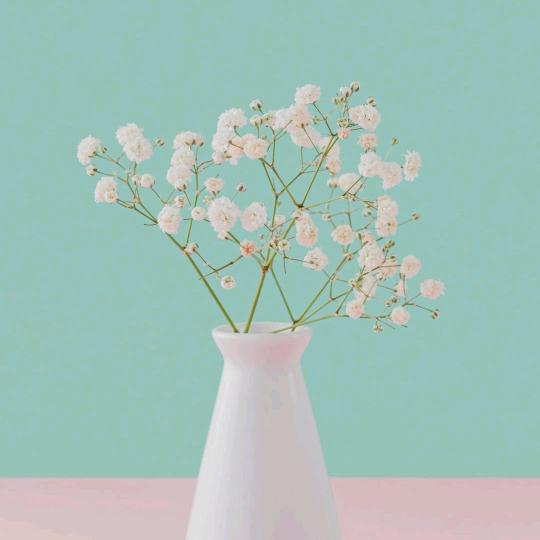 澧县，三哥，