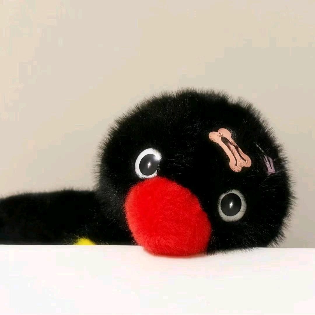 小柴