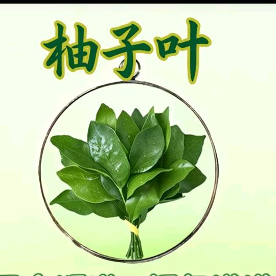 佛渡有缘人