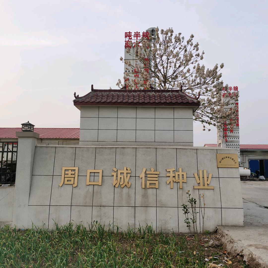 周口诚信种业