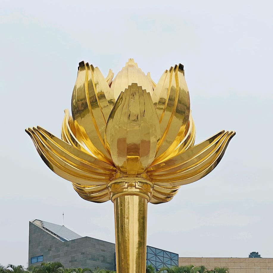 千朵莲花