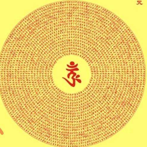 瑞德