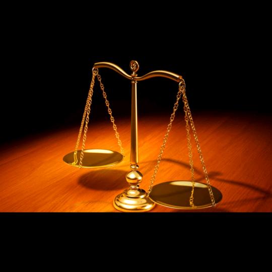 一只社会底层的蝼蚁