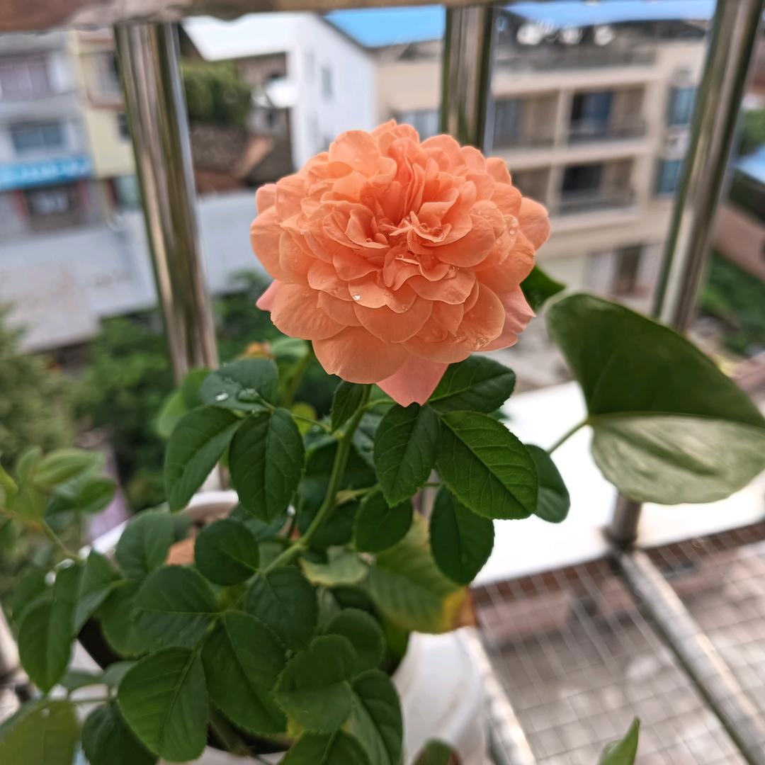 静静🍀
