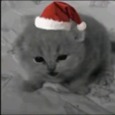 二次元重度依赖^