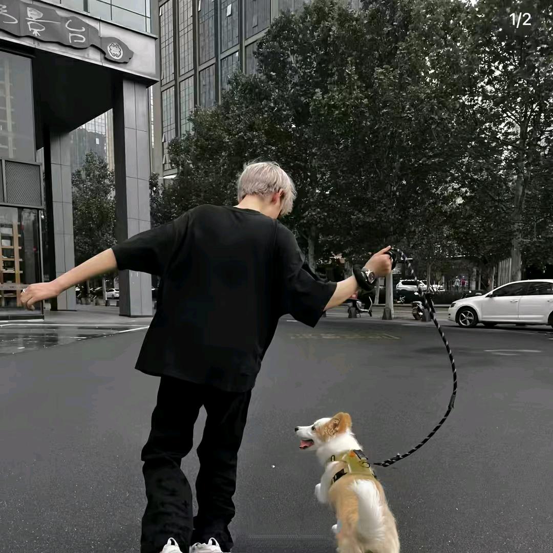 糕手小qiang