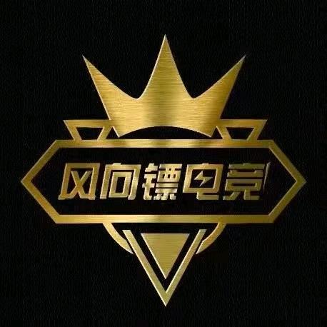 风向镖电竞馆