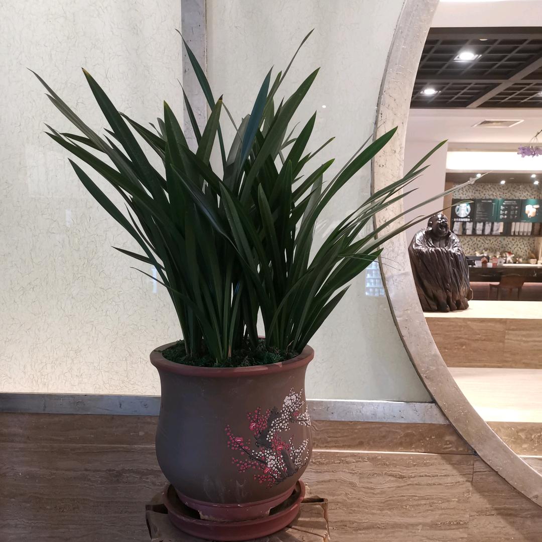 专业四针六线整机配件