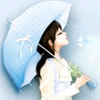 雨中百合