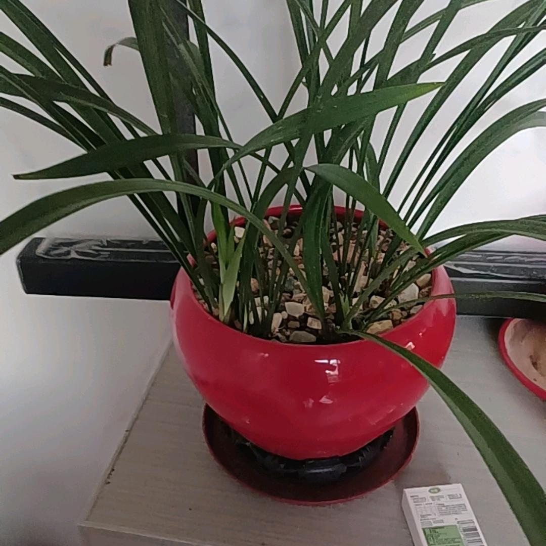 顺发果业K歌房