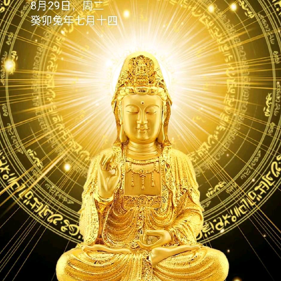 金光闪闪