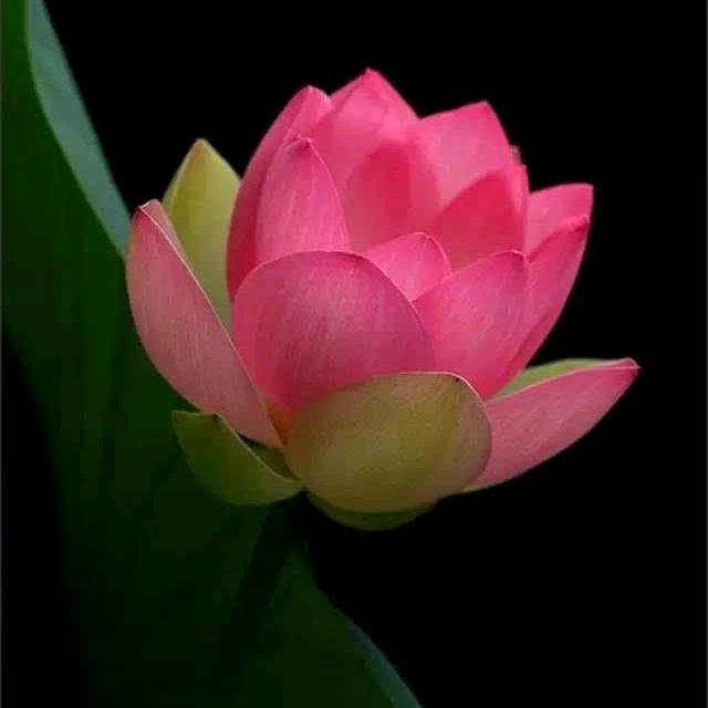 雨后彩虹