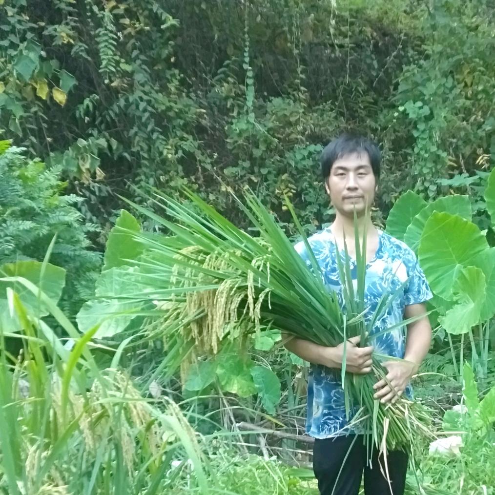 农村马小七