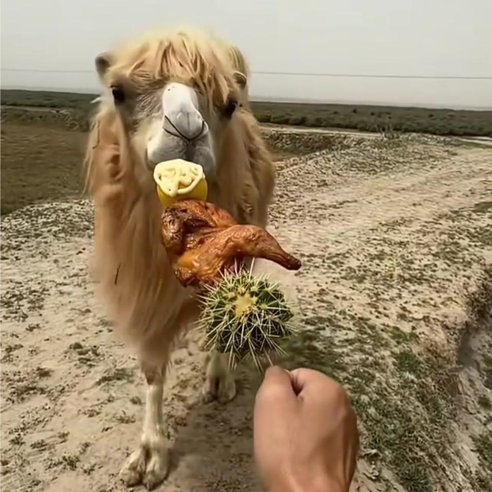 忘不了的人