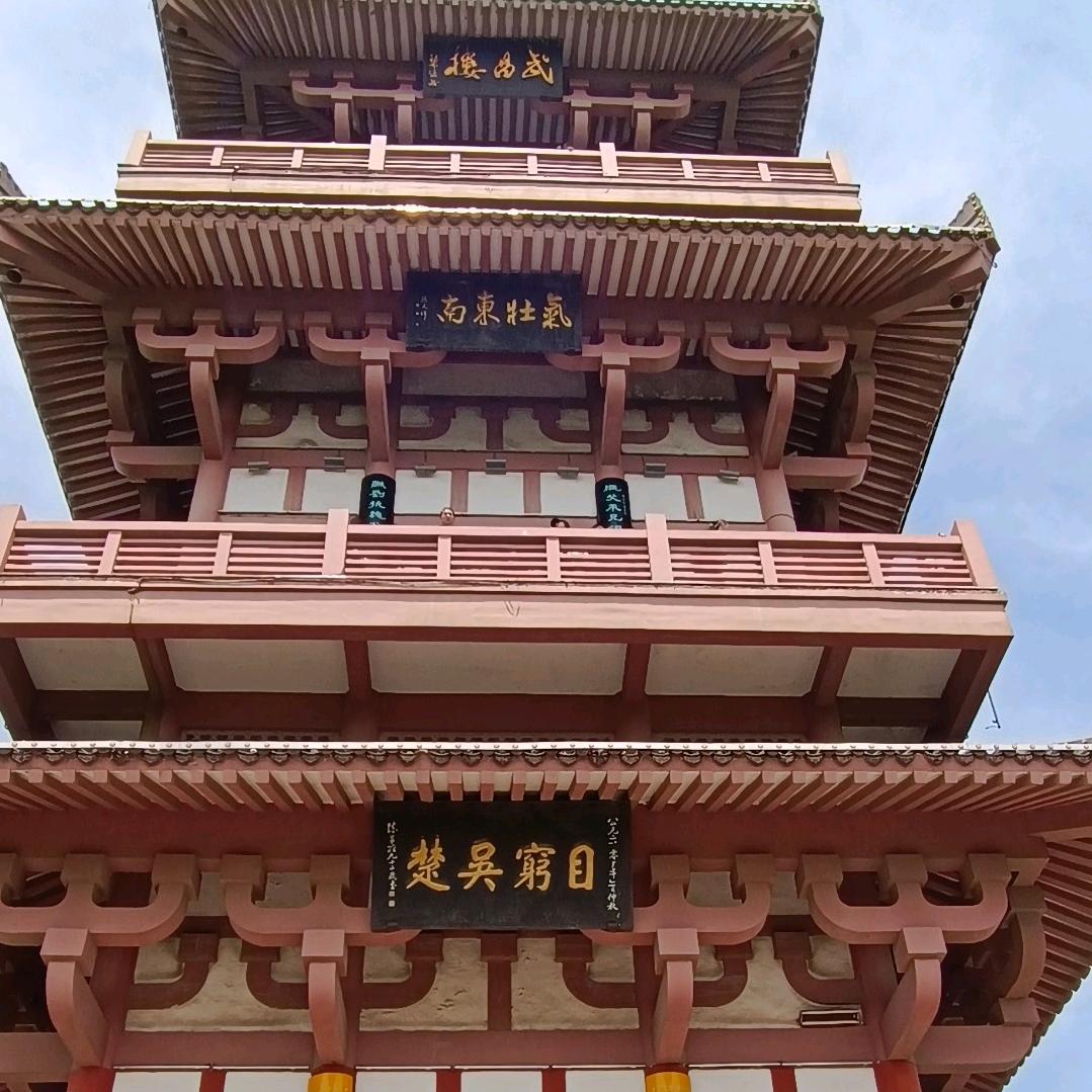 无名蜉蝣