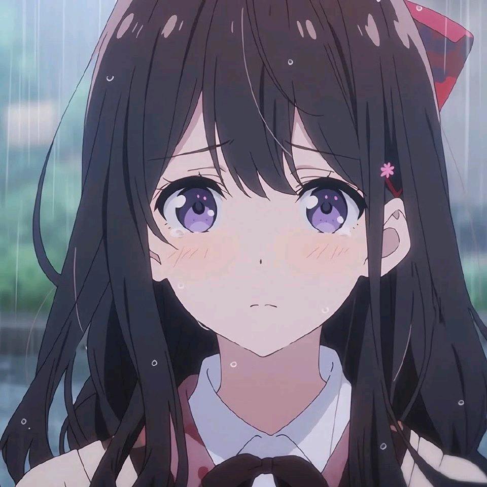 枫枫(●—●)枫