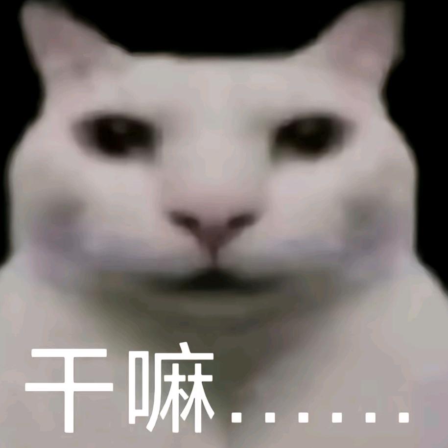 阿呜从不打呼噜