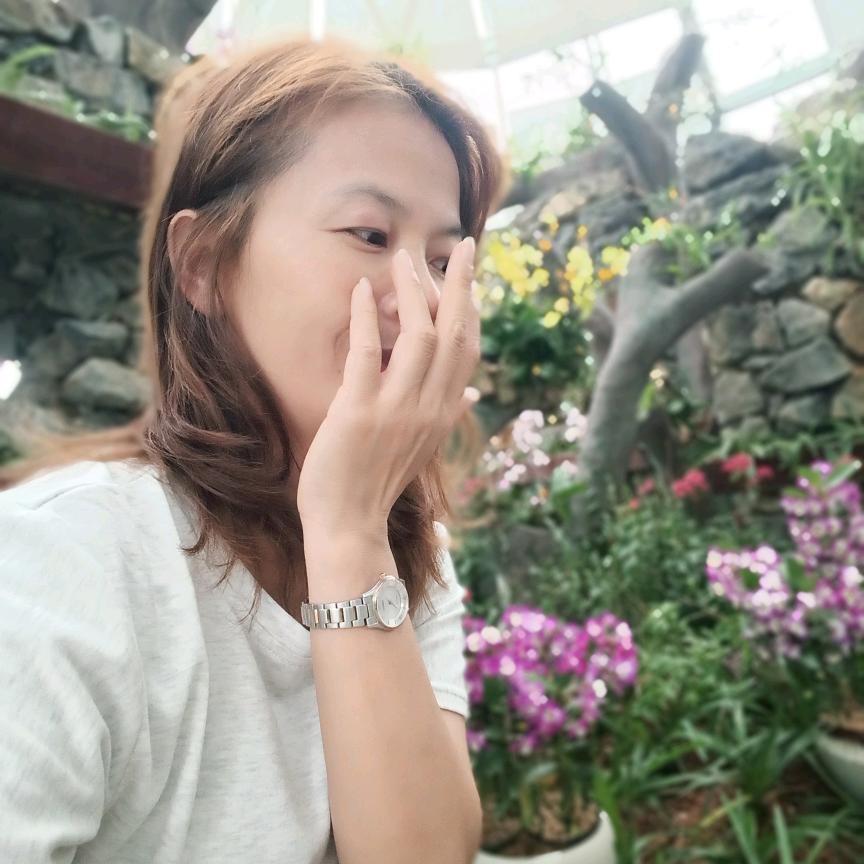 萌呆呆