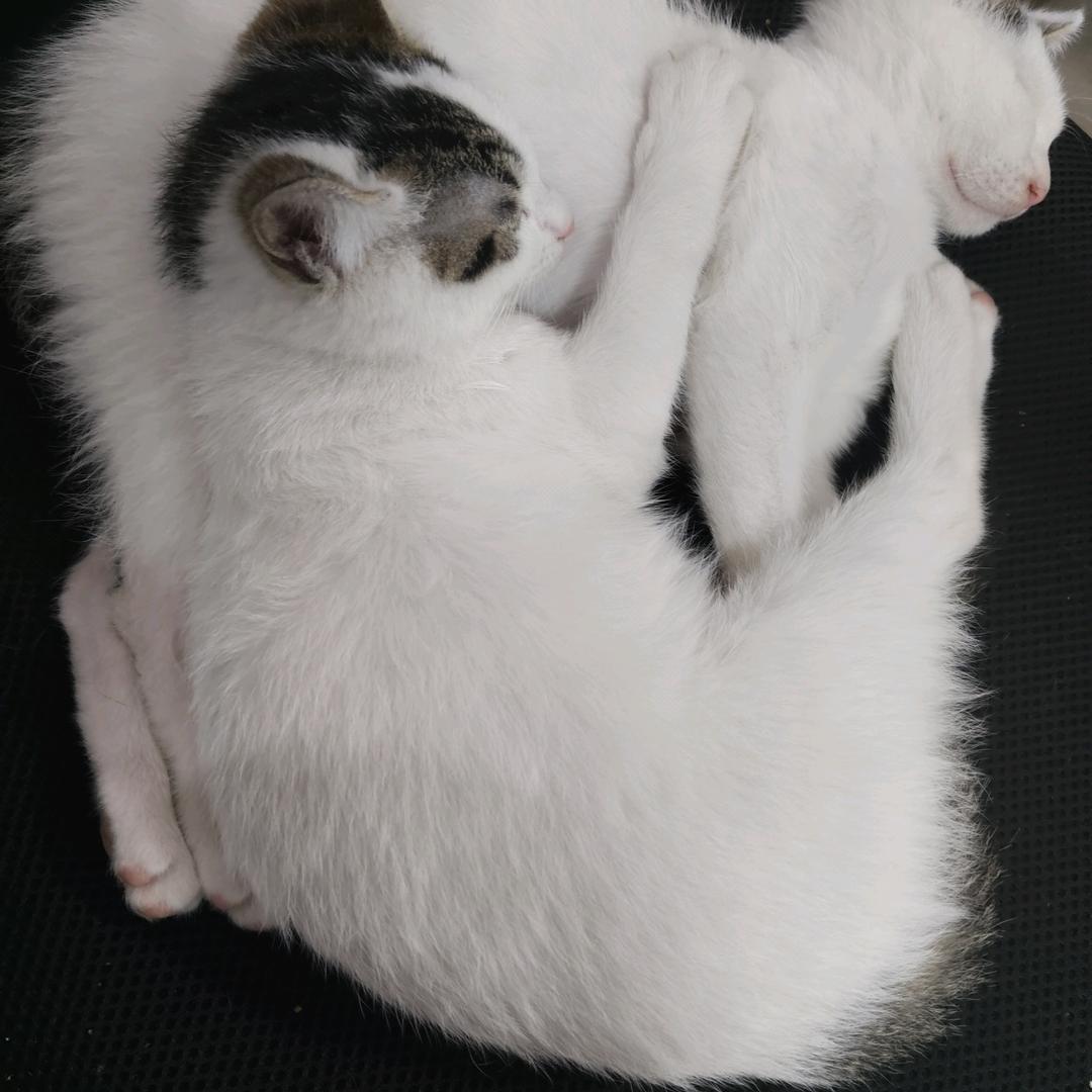 零食无界限