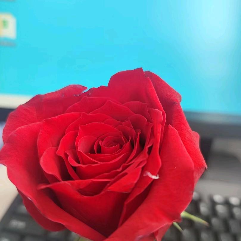 朵朵花开。