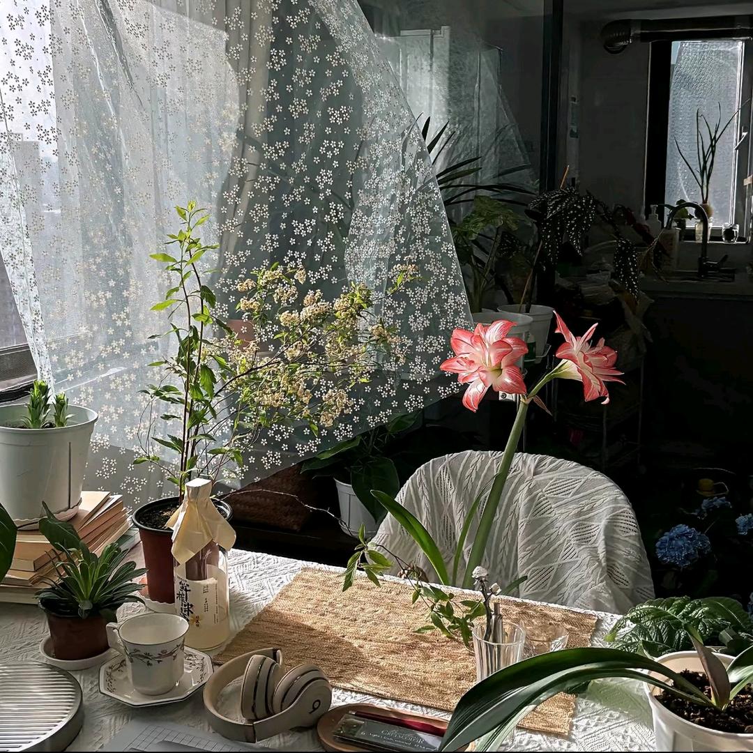 ♥️金元宝