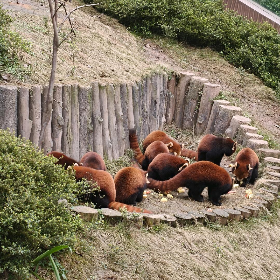 [落日充电桩] 🌇🔌