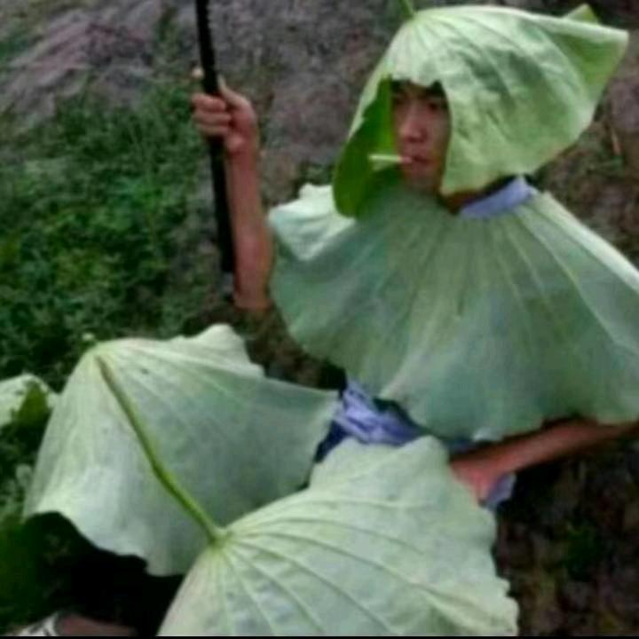 世间万象