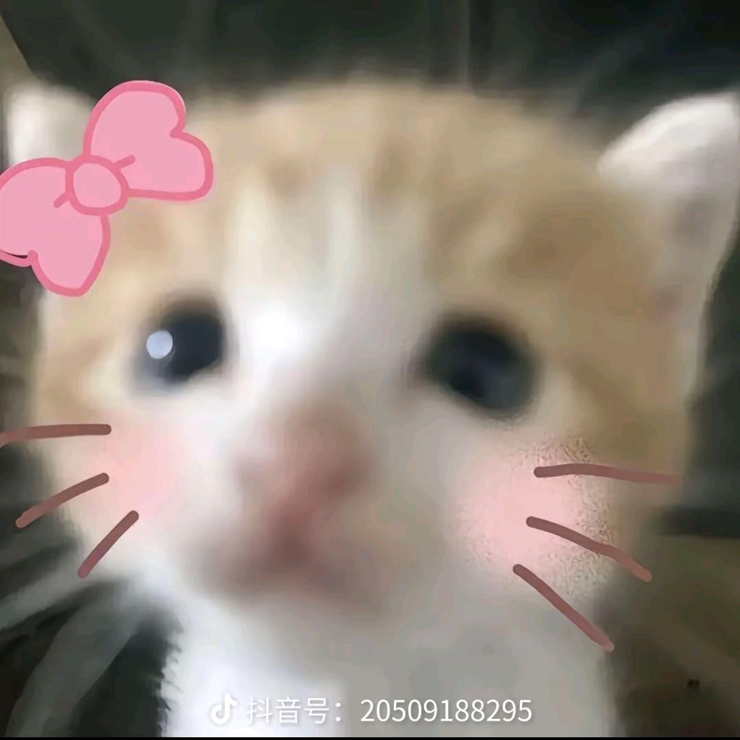 楠𝕊𝕖𝕧𝕖𝕟.