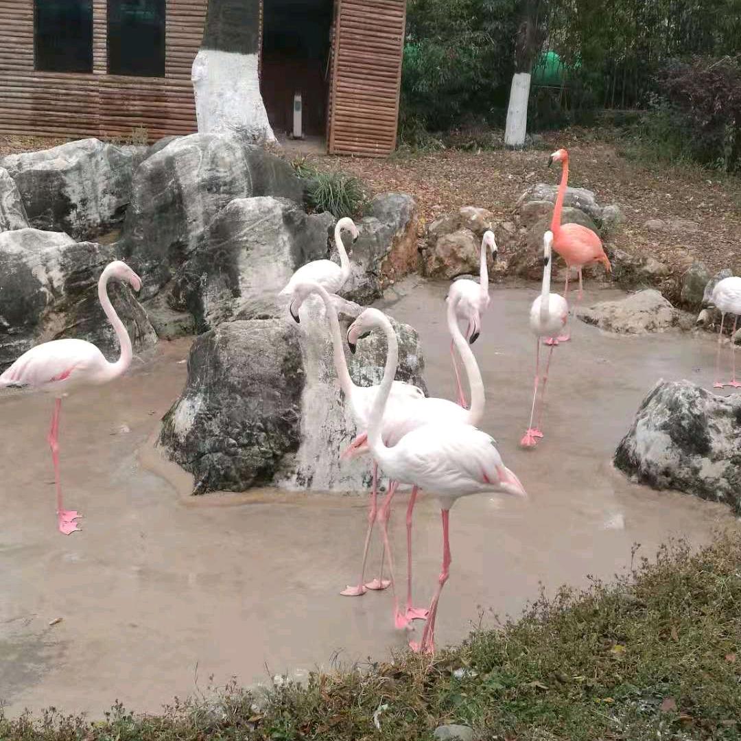 小巷离人