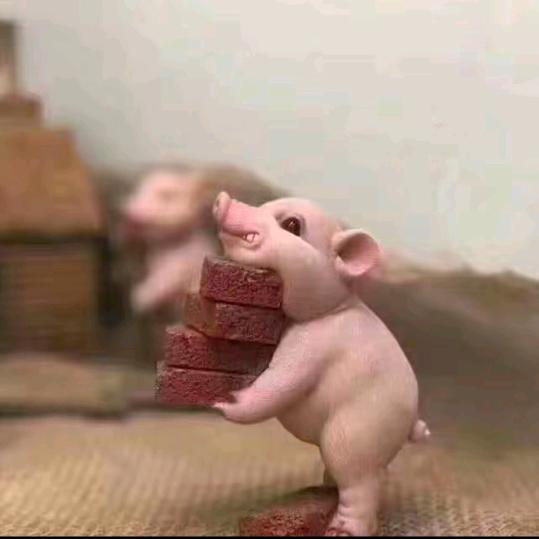 孔雀东南飞