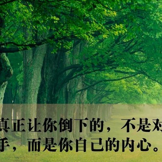 雨后斜阳