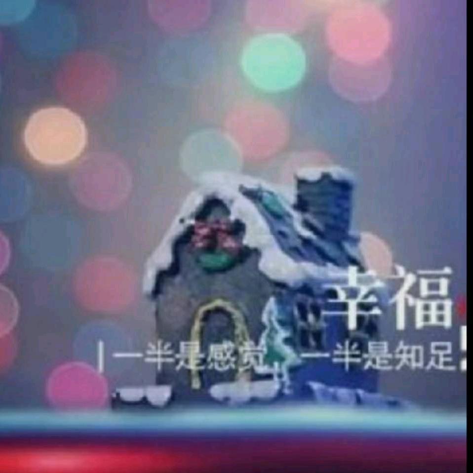猪猪
