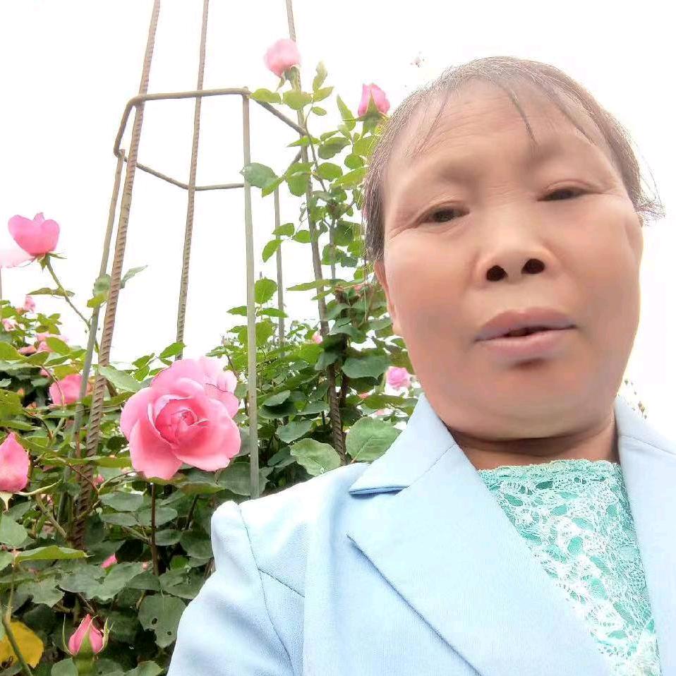 家好月圆