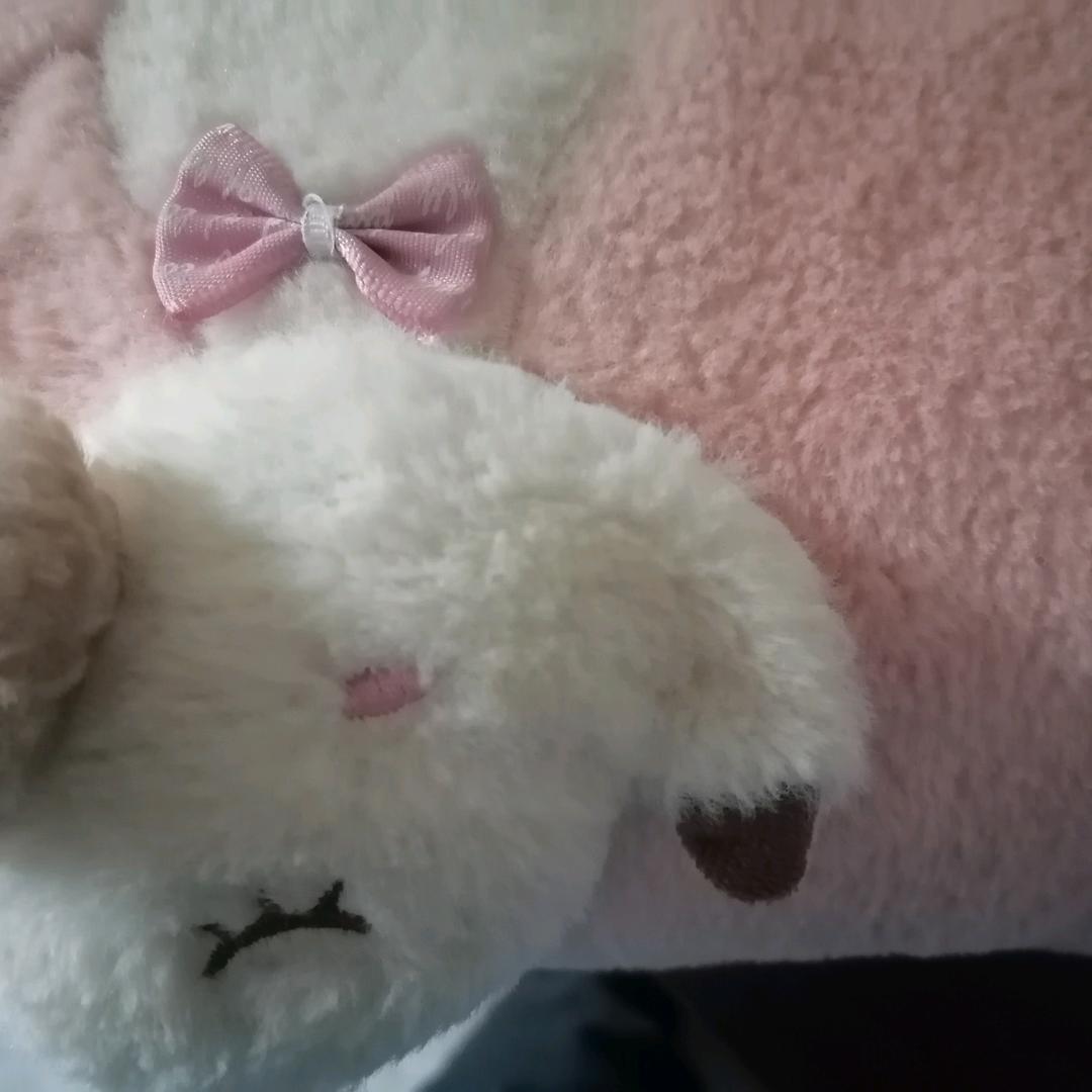 小火子帅