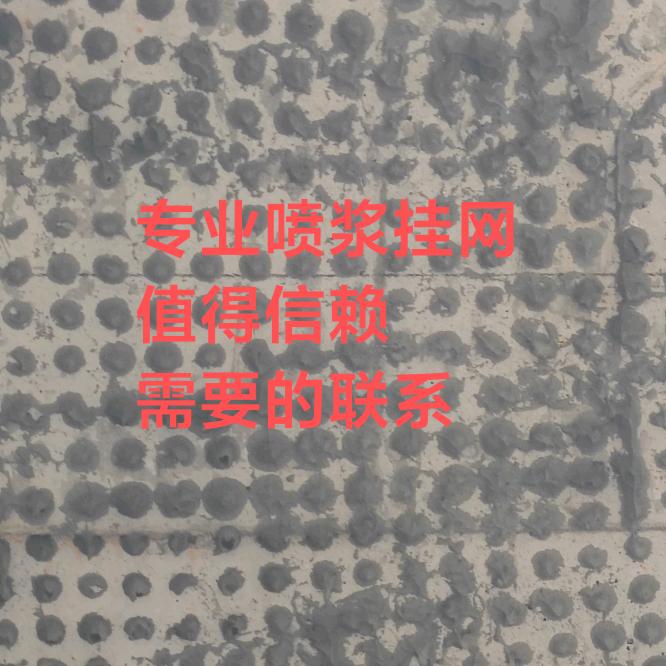 玲姐专业喷浆