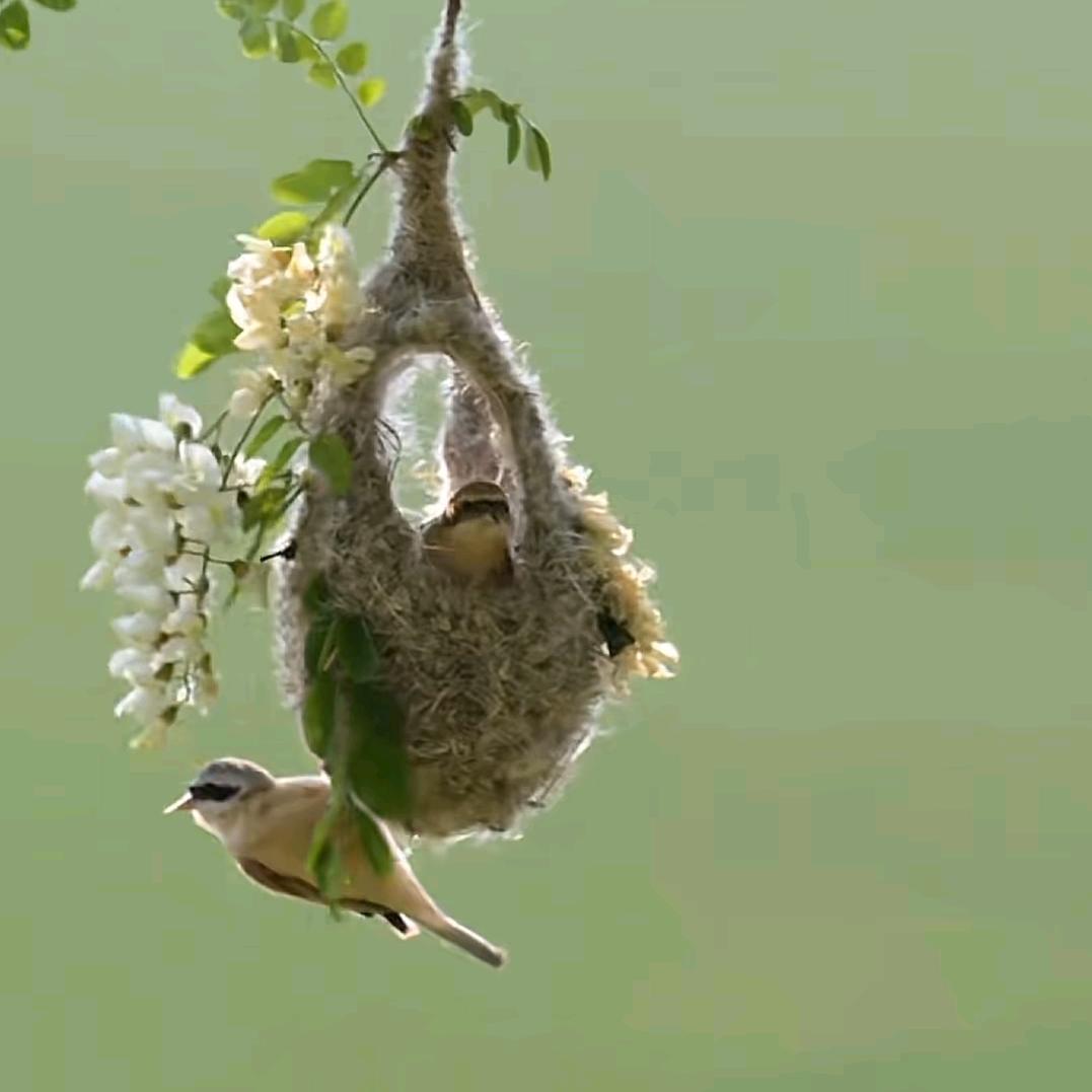 梦随缘