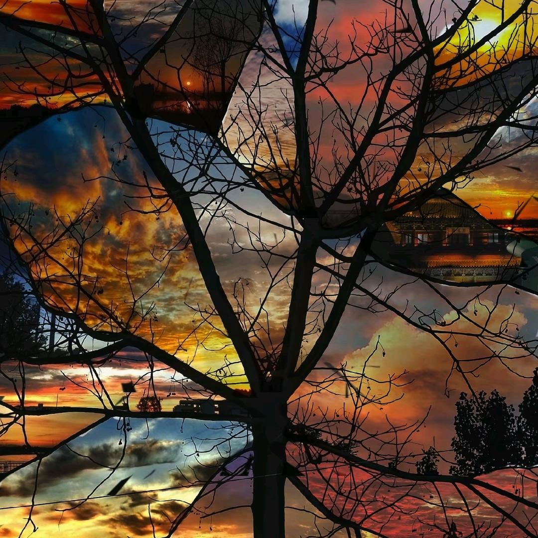 落剑有敌（巨魔与精灵）