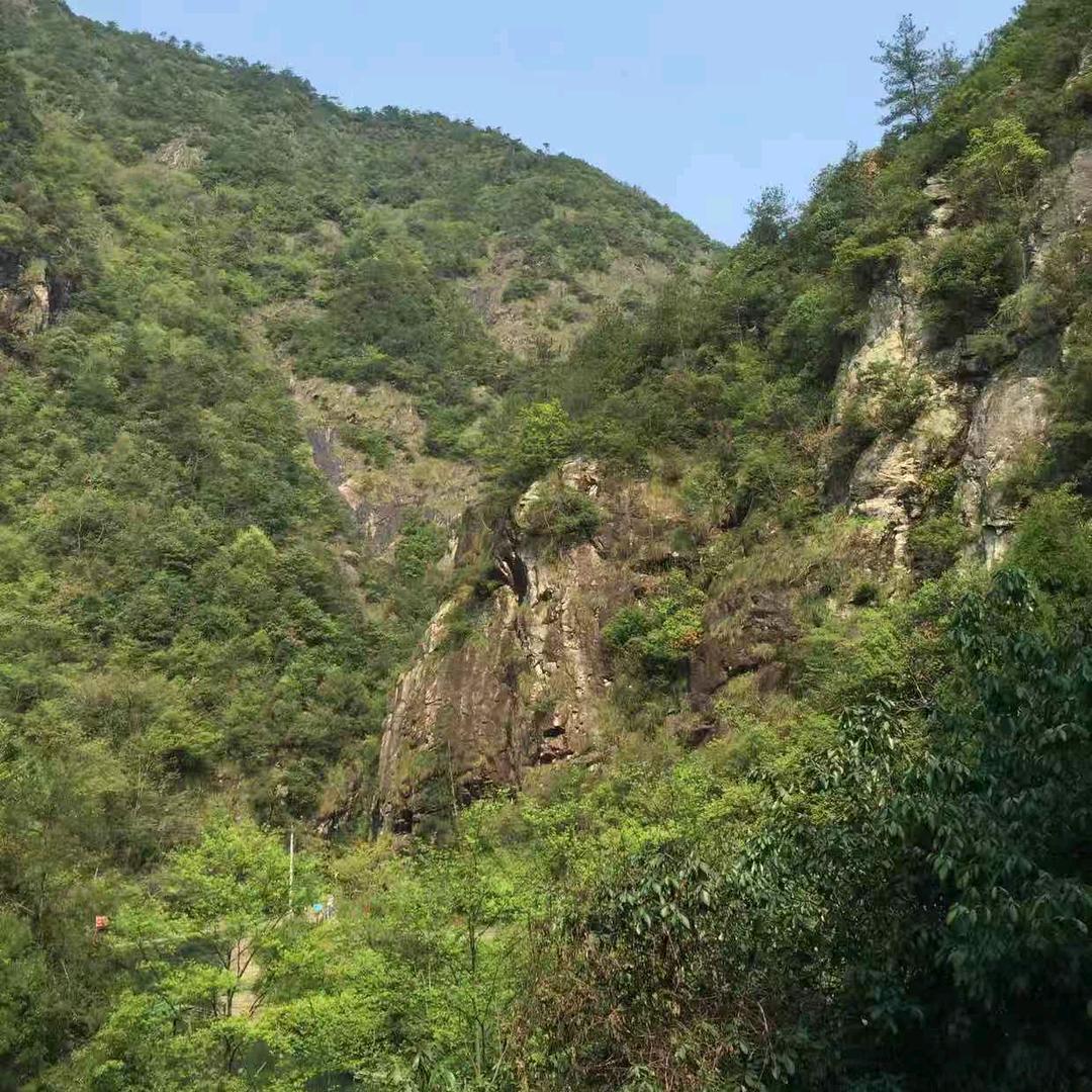 湖州防水，卫生间免砸砖