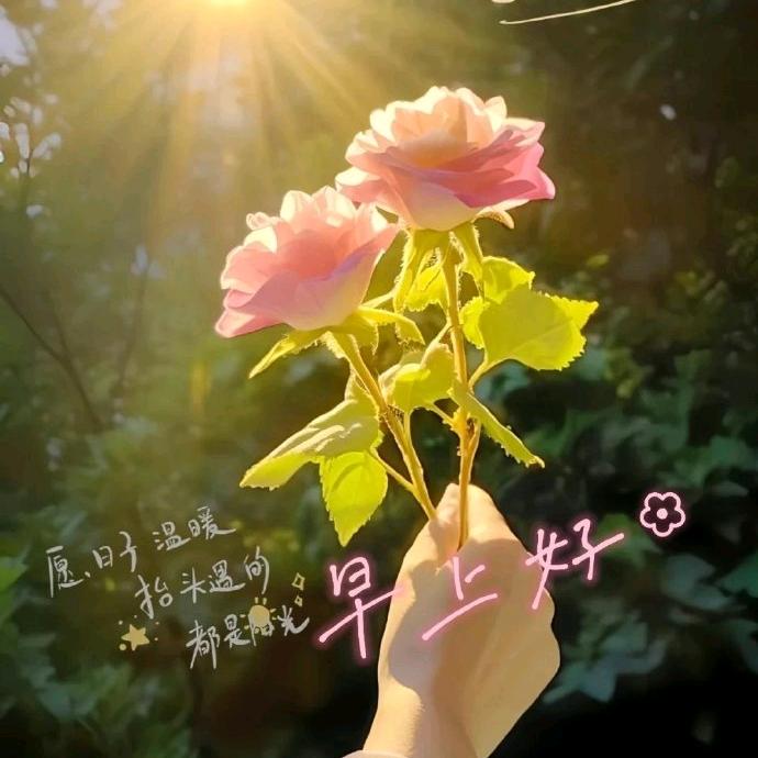 吉祥如意🍎🌾🇨🇳