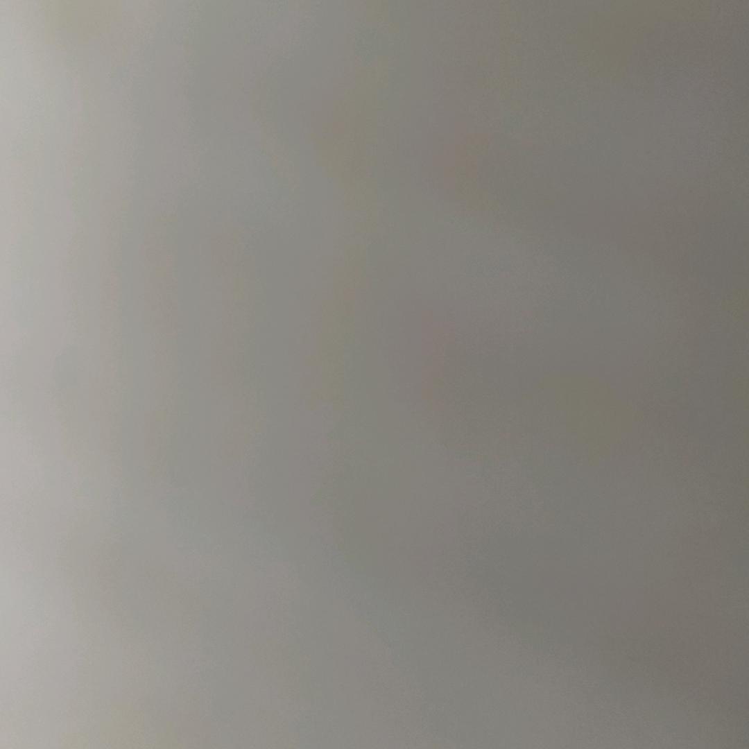 7菠萝蜜汁