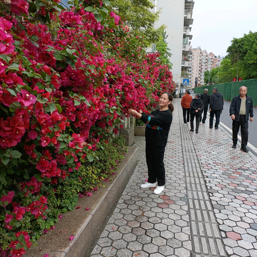 用户肖玉芬